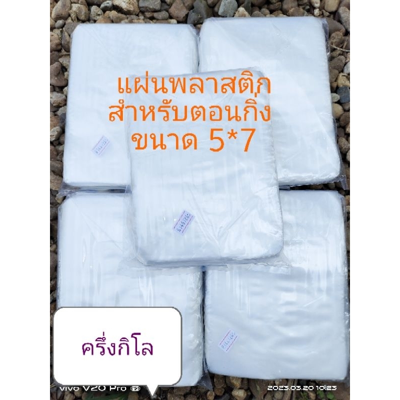 แผ่นพลาสติก สำหรับใช้ตอนกิ่ง 1 ห่อมีประมาณ 1000 ใบ