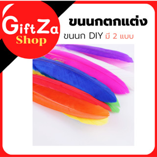 ขกนก DIY  คละสีสำหรับตกแต่ง มีทั้งขนนกขนฟูและขนเรียบ ขนนกธรรมชาติสีสันสวย ขนกนกตกแต่งสำหรับเครื่องประดับ สินค้าพร้อมส่ง