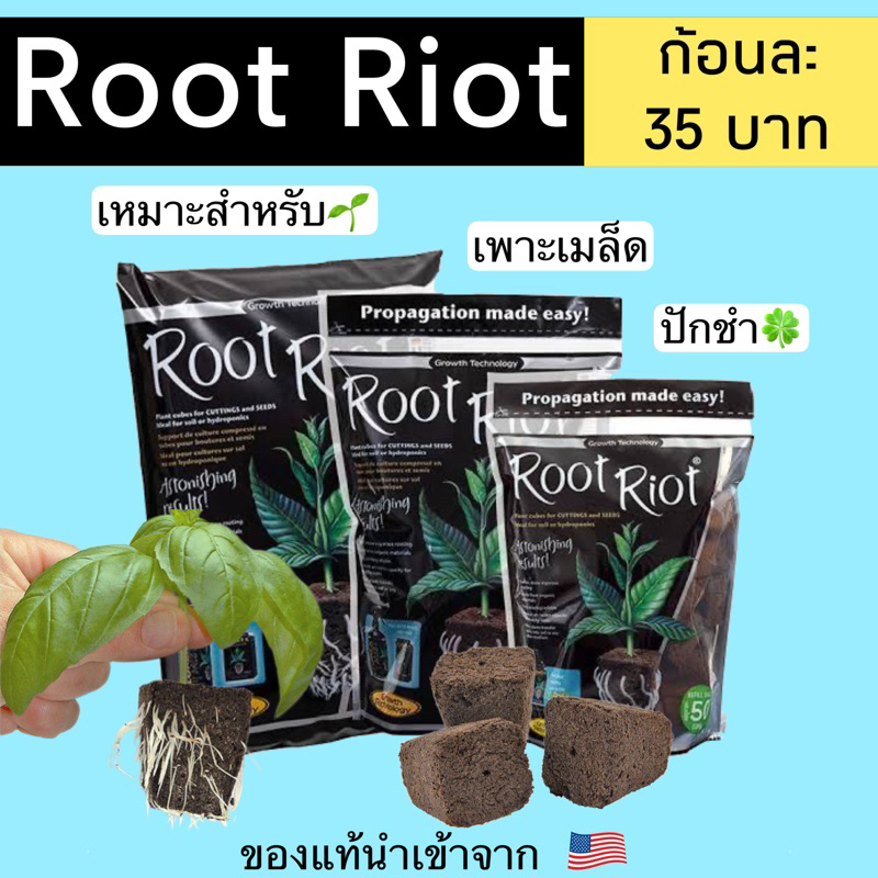 Root Riot  วัสดุสำหรับ เพาะเมล็ด ปักชำ 🪴ของแท้ 💯% จากอเมริกา แบ่งขาย ก้อนละ35 บาท Root riot ก้อนเพาะ