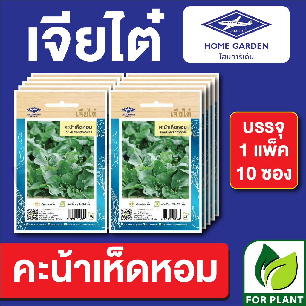 เมล็ดพันธุ์ ผักซอง คะน้าเห็ดหอม ตราเจียไต๋ CT15 บรรจุแพ็คล่ะ 10 ซอง ราคา 75 บาท