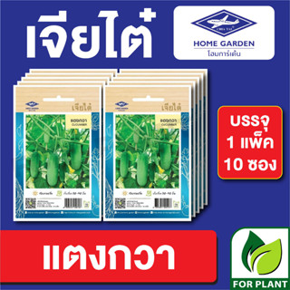 เมล็ดพันธุ์ ผักซอง แตงกวา ตราเจียไต๋ บรรจุแพ็คล่ะ 10 ซอง ราคา 70 บาท