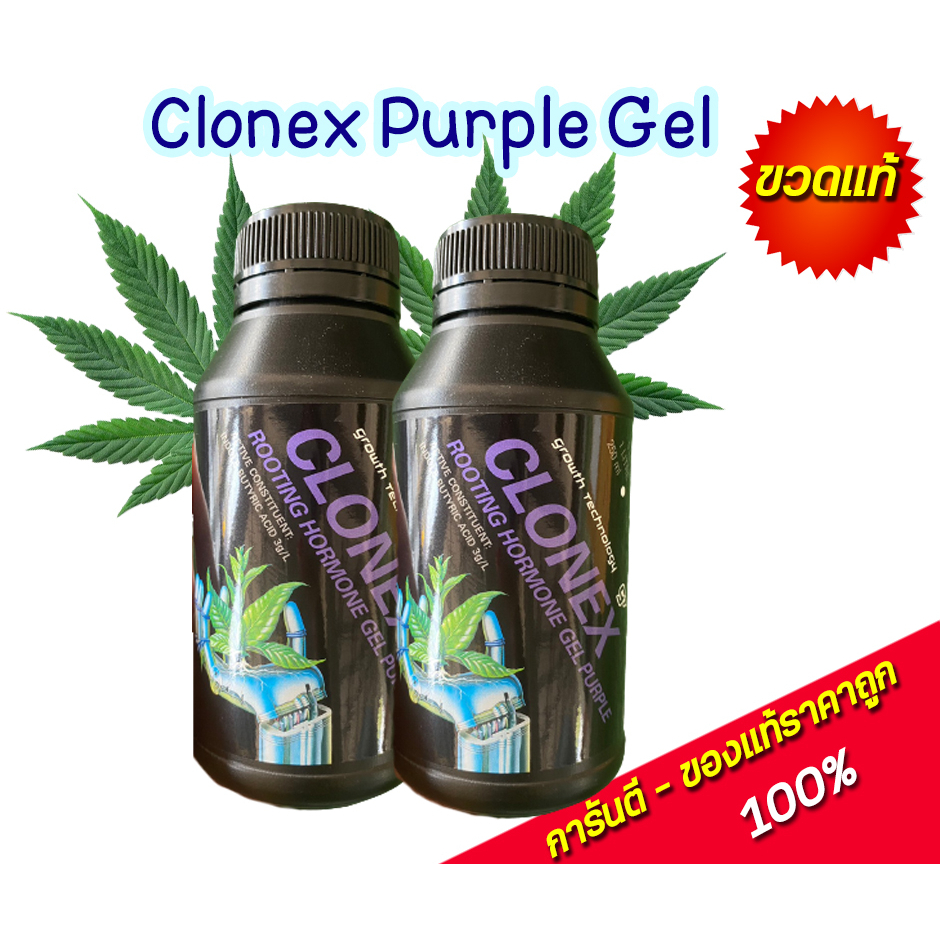 Clonex purple gel เจลเร่งราก น้ำยาเร่งราก ของแท้ 100% จากUSA - รูปที่ 2
