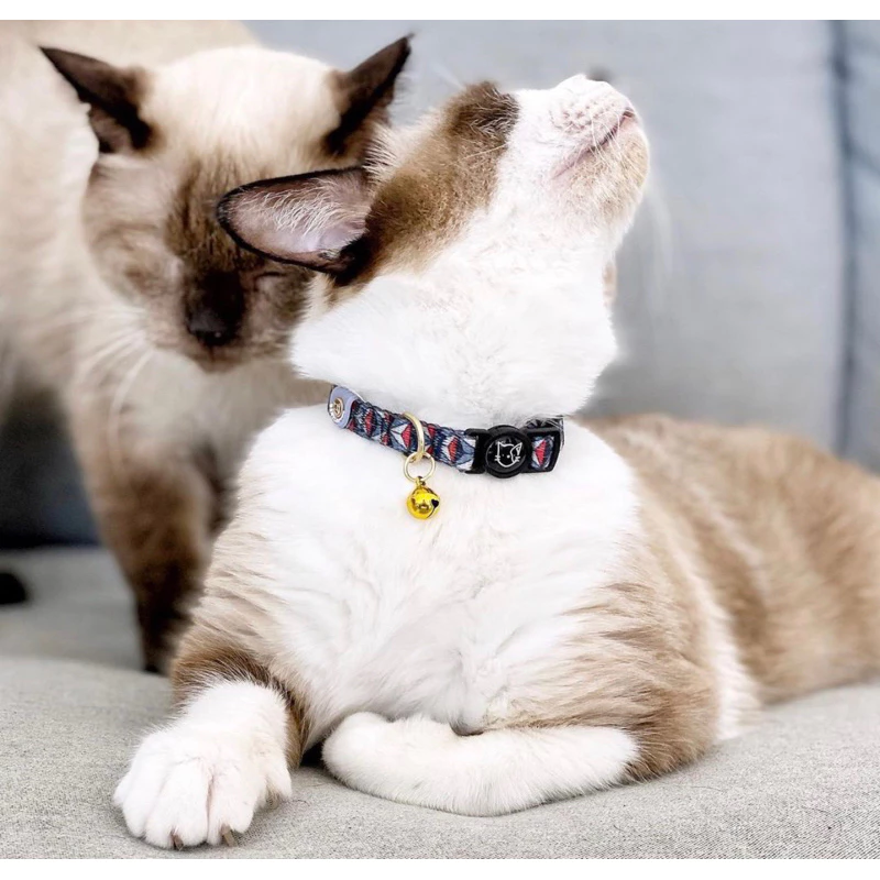 GENTLEPURR Cat Collar ปลอกคอแมว สินค้านำเข้าจากสิงคโปร์ thumbnail 10