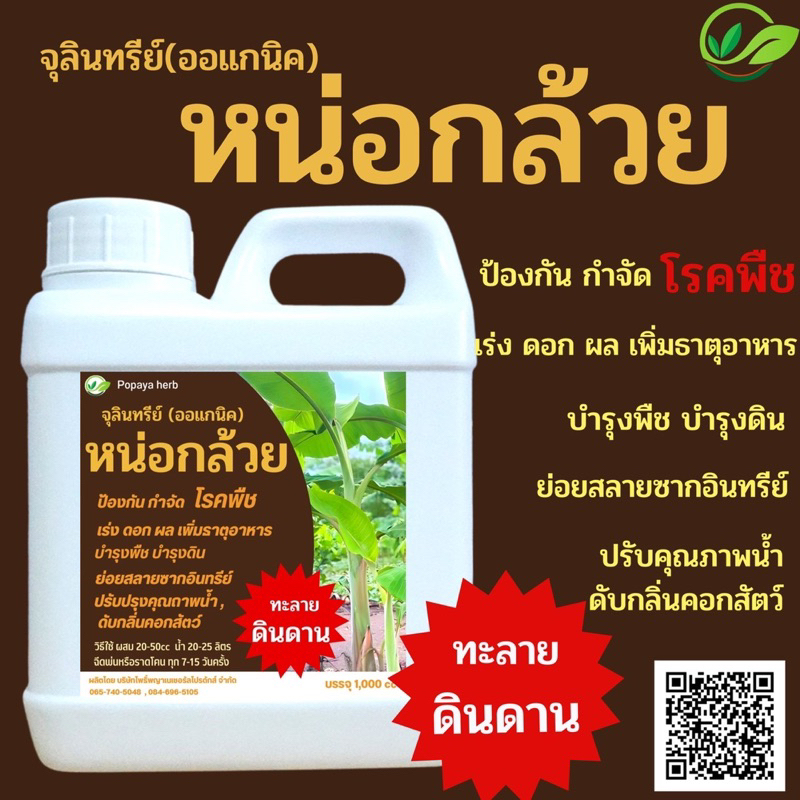 หัวเชื้อ จุลินทรีย์หน่อกล้วย 1ลิตร 🔥เข้มข้น นำไปขยายต่อได้ค่ะ🥬🍅🍆