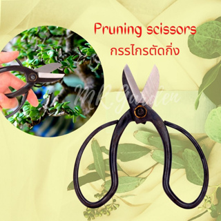 พร้อมส่ง 木バサミ Flower scissors Pruning scissors กรรไกรบอนไซ ตกแต่งไม้ดอก ไม้ประดับ กรรไกรตัดกิ่งไม้ ตัดตกแต่งช่อดอกไม้ จ