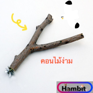 Hambit. คอนไม้นกแก้ว คอนไม้ติดกรง นกแก้ว ยกหอพัก ที่ยืนกรง นกหงส์หยก ไม้สำหรับนกยืน นกยืน