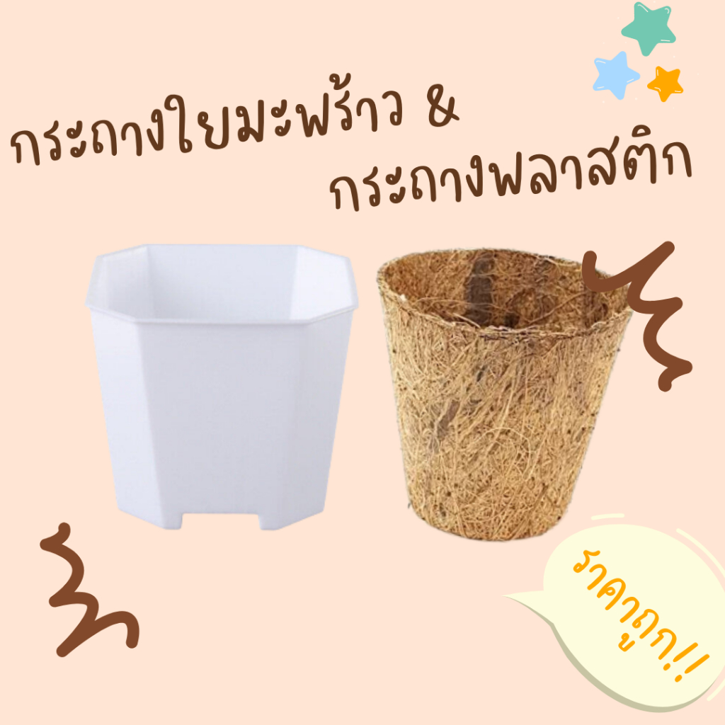 กระถางต้นไม้ ราคาถูก *มี 2 ขนาด 2 นิ้ว , 3 นิ้ว กระถางต้นไม้ เพาะกล้า เพาะเมล็ด  ราคาถูก  มีน้ำหนักเบา แข็งแรง กระถาง