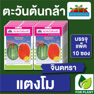 เมล็ดพันธุ์ ผักซอง แตงโม จินตหรา  ตราตะวันต้นกล้า บรรจุแพคล่ะ 10 ซอง ราคา 64 บาท