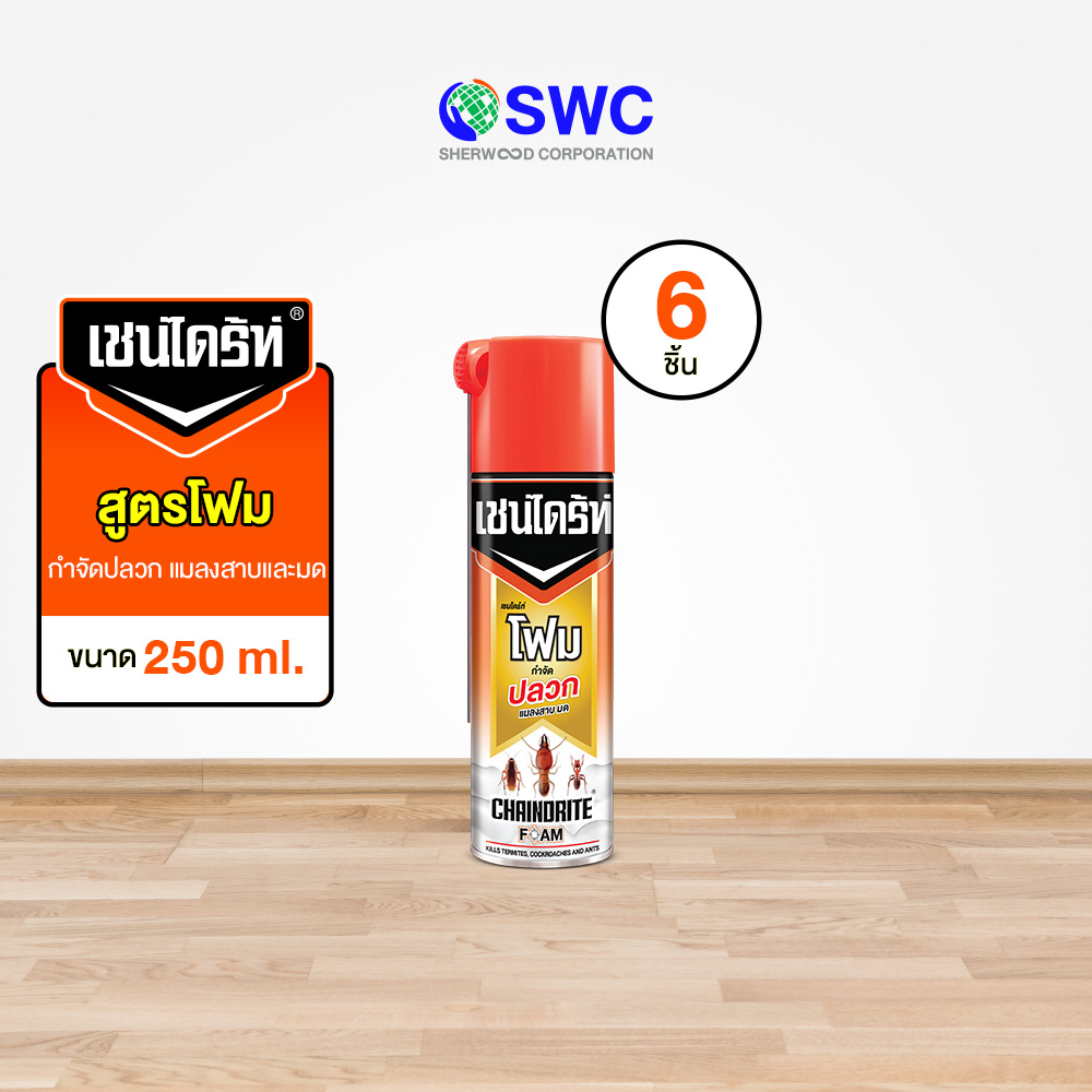 [ยกลัง 6 ชิ้น] Chaindrite เชนไดร้ท์ โฟม ผลิตภัณฑ์กำจัดปลวกแบบเนื้อโฟม ขนาด 250 ml.