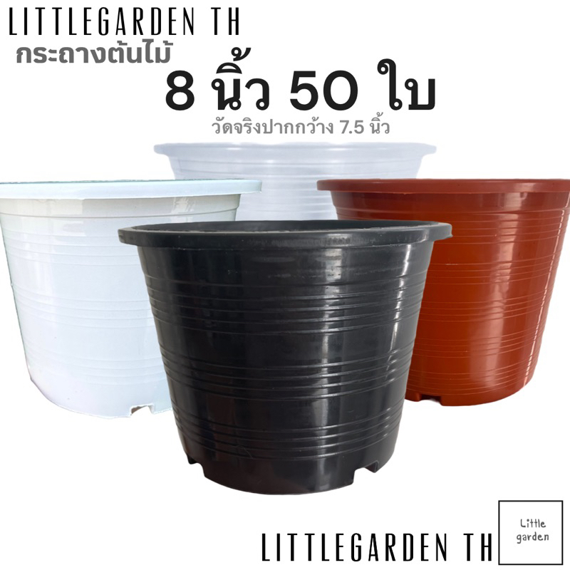 กระถางขาว 8 นิ้ว (วัดจริงปากกว้าง 7.5 นิ้ว) 50 ใบ (สีขาว สีอิฐ)