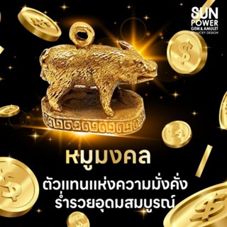 🐷หมูมงคล ตัวแทนแห่งความมั่งคั่งร่ำรวยอุดมสมบูรณ์🐖