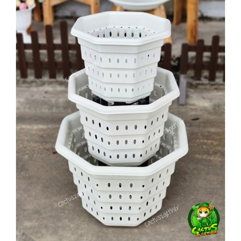 กระถางเร่งรากSuperหนา‼️หนา รูเยอะ ระบายน้ำดี เร่งรากโตไวขนาด10