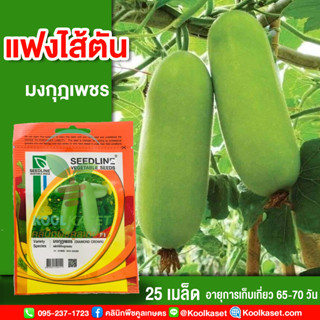 พันธุ์แฟงไส้ตัน มงกุฎเพชร ซีดไลน์ 25 เมล็ดพันธุ์ แฟงไส้ตัน มงกุฎเพชร คุณภาพดี งอกดี ปลูกง่าย โตไว คูลเกษตร KS15