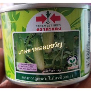 เมล็ดพันธุ์ แตงกวา แตงกวาลูกผสม 🥒สิ้นอายุทำพันธุ์ 23/09/2567🥒ไมโครซี 306🥬 บรรจุ 50 กรัม