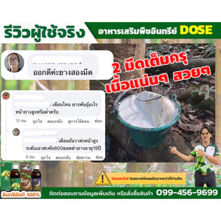 [ร้านค้าบริษัท] โดสเขียวโปร 2 แถม 1 [แถมถุงมือ] บำรุงยางพารา ฮอร์โมนพืช เร่งใบ เร่งต้น เร่งนํ้ายาง
