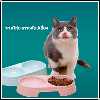 ชามคู่สีลูกกวาด ชามอาหารสัตว์เลี้ยง ชามข้าวหมา ชามข้าวแมวชามใส่น้ำ Pet bowl