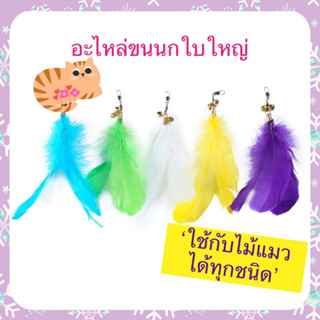 อะไหล่ขนนก🪶🪶 ใช้ติดกับไม้แมวได้ทุกแบบ มีหลายสี