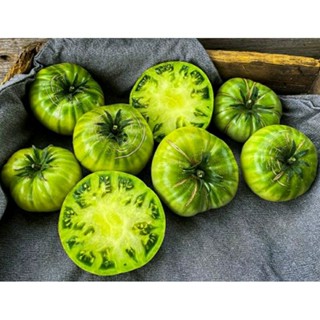 เมล็ดพันธุ์มะเขือเทศเนื้อ ไจแอนท์ กรีน (Giant Green Tomato Seed) บรรจุ 15 เมล็ด ของแท้ คุณภาพดี ราคาถูก นำเข้าจากต่างประ