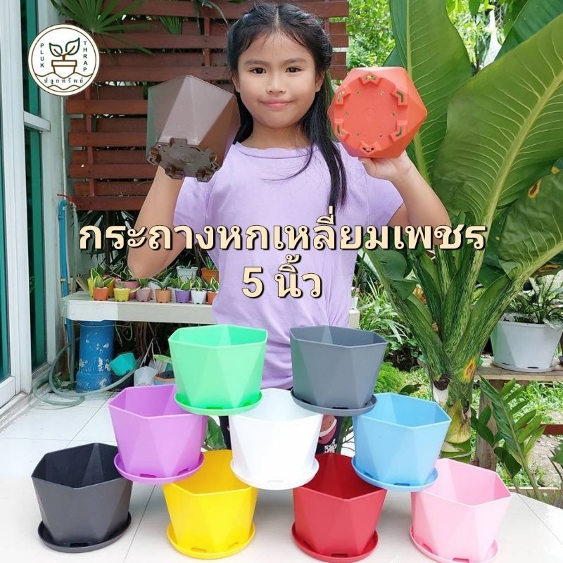 กระถางหกเหลี่ยมเพชร 5 นิ้ว (6 ใบ) / กระถางพร้อมจานรอง กระถางพลาสติกราคาถูก