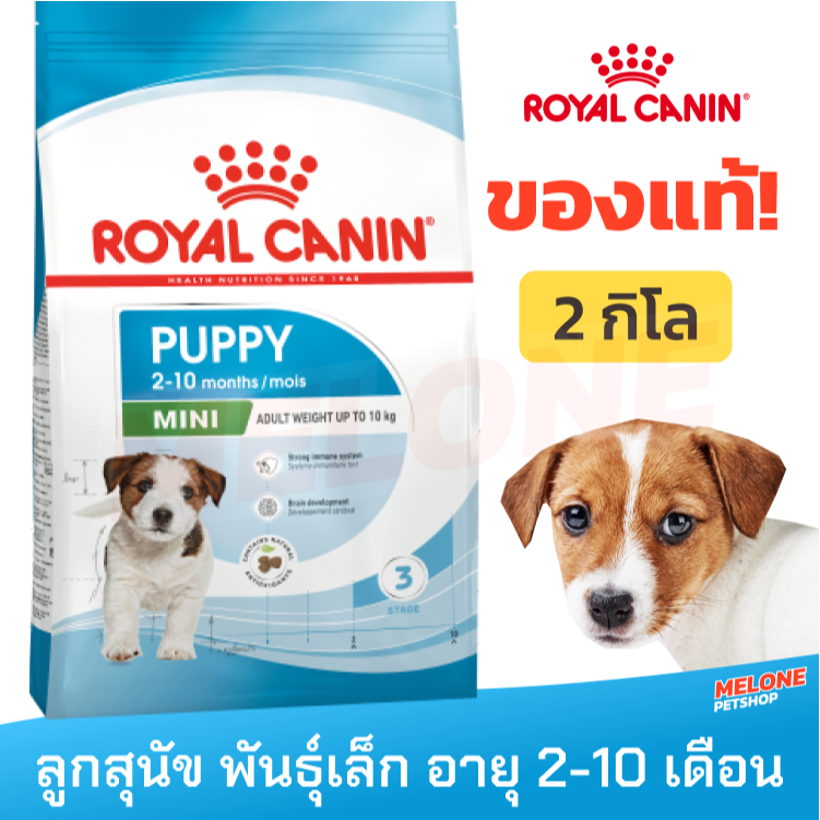 Royal Canin Mini Puppy รอยัลคานิน สุนัขลูกสุนัข พันธุ์เล็ก อายุ 2 - 10 เดือน ขนาด 2kg
