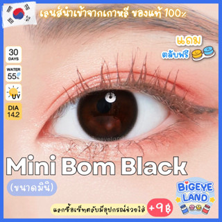 คอนแทคเลนส์ Mini Bom Black (Kitty Kawaii) ขนาดมินิ 🌷เนียน ธรรมชาติ คอนแทคเลนส์สีดำ