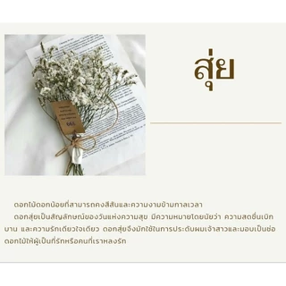 พร้อมส่ง COD ดอกสุ่ยแห้ง ดอกไม้ ดอกไม้แห้ง ดอกสุ่ยแห้ง สำหรับจัดช่อ ตกแต่งบ้าน คาเฟ่ งานฝีมือ มินิมอล วินเทจ ของชำร่วย