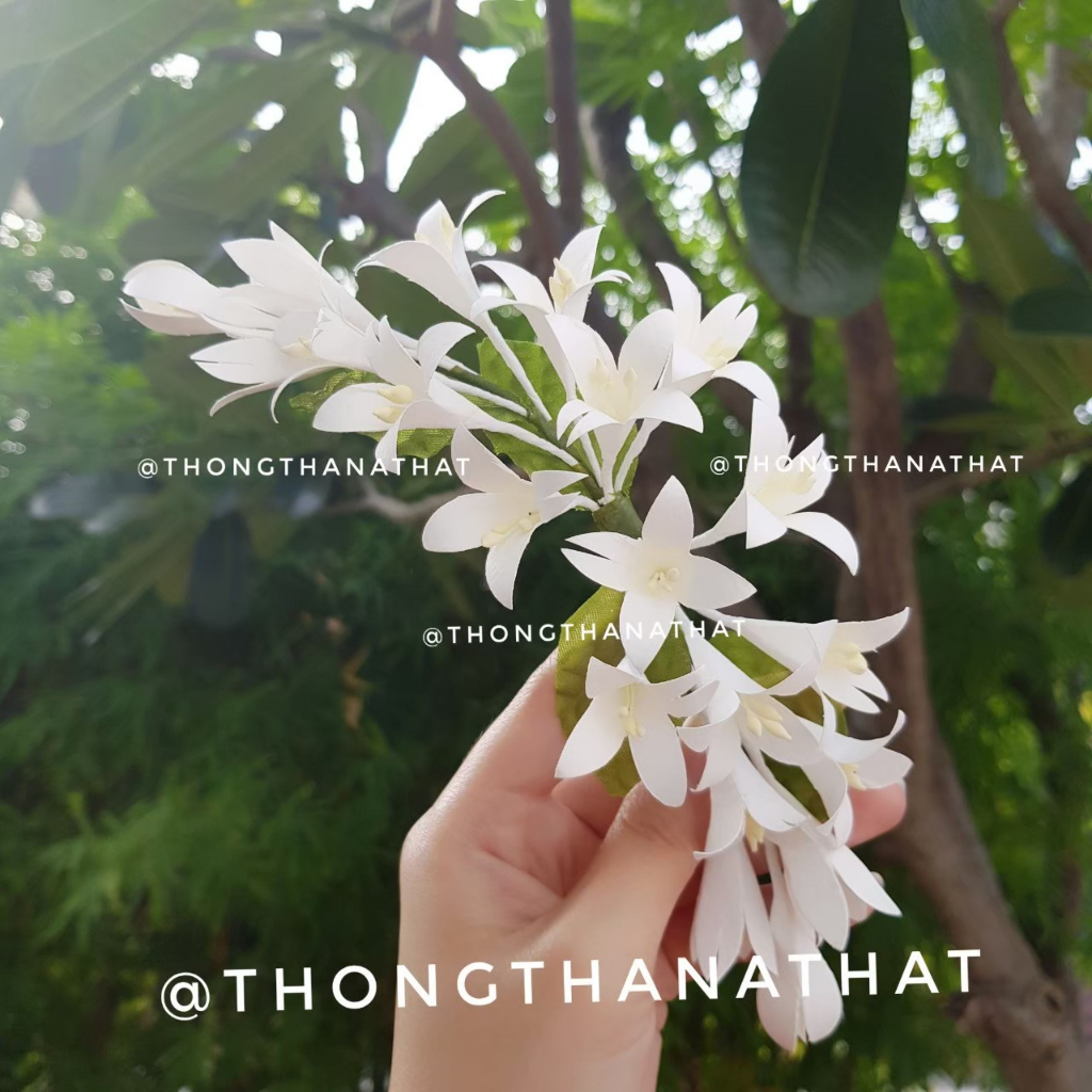 ดอกปีบ7แบบ ดอกปีบติดผม ดอกไม้รำไทย