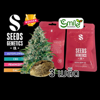 เมล็ดกัญชา Seeds Genetics.Co - Royal Moby (Fem)