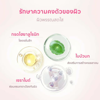 PAPA FEEL 10% Niacinamide Whitening Serum เซรั่มขาว ลดจุดด่างดํา แดง สูตรอ่อนโยน สําหรับสิวและผิวแพ้ง่าย Papa Feel Niacinamide + Ceramide + Arbutin