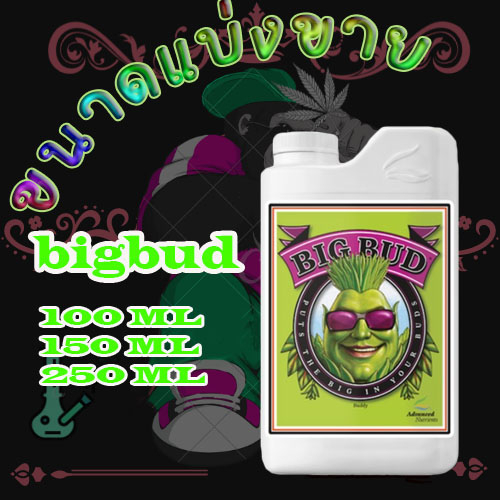 Big Bud ปุ๋ยAdvanced Nutrients ปุ๋ยเร่งดอกใหญ่ เพิ่มน้ำหนักดอกและผลผลิต ขนาด 100/150/250ml ปุ๋ยนอก ของแท้100% ปุ๋ยUSA