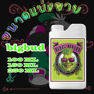 Big Bud ปุ๋ยAdvanced Nutrients ปุ๋ยเร่งดอกใหญ่ เพิ่มน้ำหนักดอกและผลผลิต ขนาด 100/150/250ml ปุ๋ยนอก ของแท้100% ปุ๋ยUSA