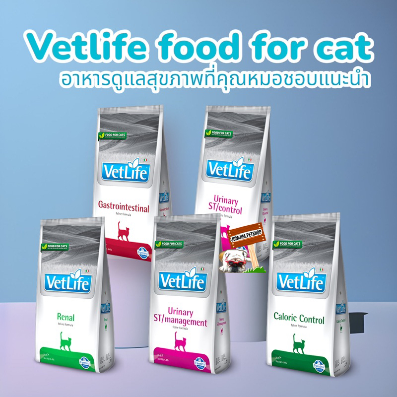 Vetlife ถูกที่สุด พร้อมโปรโมชั่น ก.ย. 2023|BigGoเช็คราคาง่ายๆ