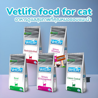 vetlife food for cat 2กก อาหารแมว อาหารเพื่อสุขภาพแมว urinary , renal , gastrointestinal