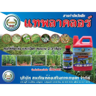 แทพลาคลอร์ 4 ลิตร (ชื่อสามัญ : อะซีโทคลอร์)