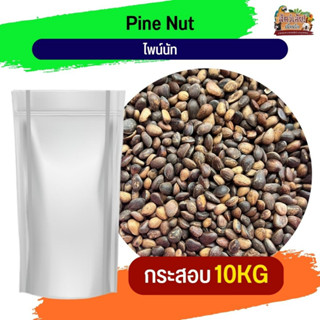 Pinenut seed ถั่ว พายนัท 10Kg.