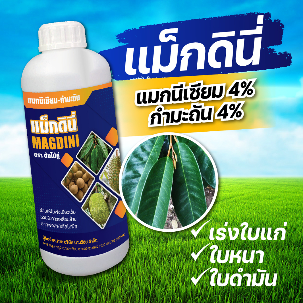 แม็กดินี่ ตราต้นไม้คู่ แม็ก+กำมะถัน ขนาด 1 ลิตร ช่วยให้ใบแก่เร็ว ใบหนา ใบดำมัน เพิ่มสีเขียวเข้มให้กับพืช