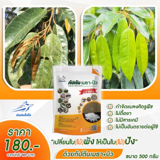 *กำจัดแมลง* แบบผง(500กรัม) เชื้อราบิวเวอร์เรีย + เชื้อราเมธาไรเซียม ตรา กัปตันโคโค่ ปลอดภัย 100 %