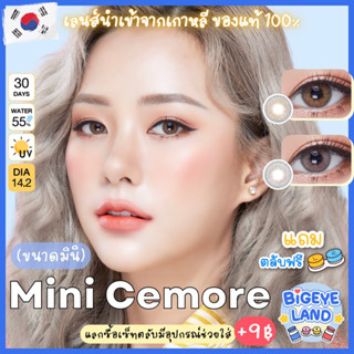 คอนแทคเลนส์ Mini Cemore Brown / Gray (Kitty Kawaii) ขนาดมินิ 🌷