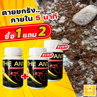 ลูกค้าใหม่ลดเพิ่ม 80.- (โปร 1 แถม 2) ได้ 3 กระปุก The Ant ผงกำจัด มด ปลวก แมลงสาบ สูตรตายยกรัง ภายใน 5 นาที