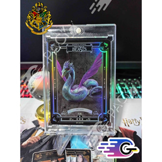 การ์ด fantastic beasts Kayou rare R 3 star Holofoil card (แถม Topload) (R)