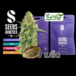 เมล็ดกัญชา Seeds Genetics.Co - Super Skunk (Auto)