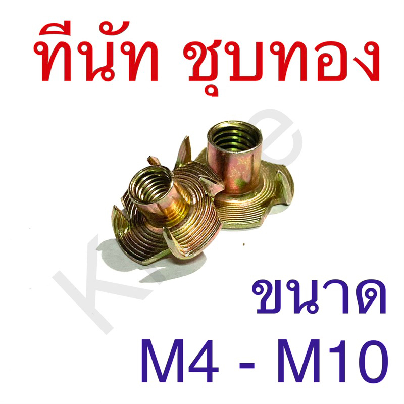 ทีนัท ชุบทอง ขนาด M4 – M10