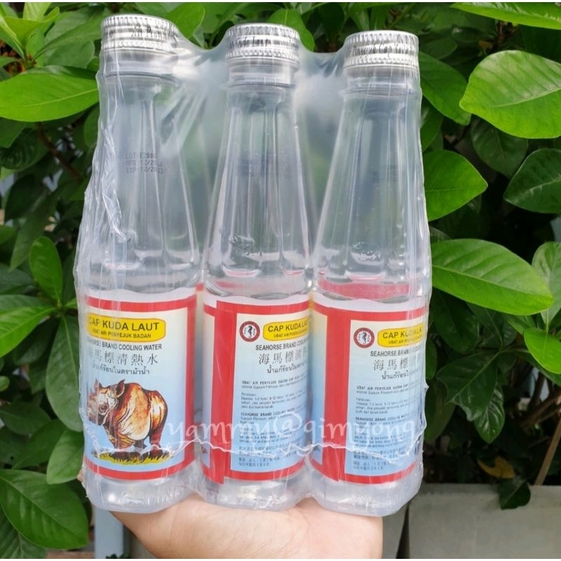 น้ำเขากุย น้ำสามขา ตราแรด ม้าน้ำ เครื่องดื่ม แก้ร้อนใน Cap Kuda Laut แพ