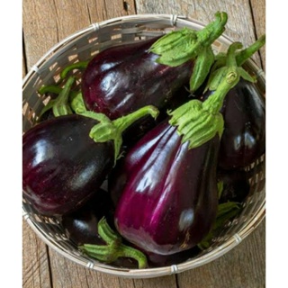 เมล็ดพันธุ์ มะเขือม่วง แบล็ค บิวตี้ (Black Beauty Eggplant Seed) บรรจุ 30 เมล็ด ของแท้ คุณภาพดี ราคาถูก นำเข้าจากต่างประ