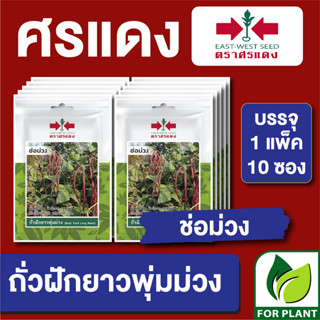 เมล็ดพันธุ์ ผักซอง ถั่วพุ่มม่วง ช่อม่วง ตราศรแดง บรรจุแพ็คล่ะ 10 ซอง ราคา 70 บาท