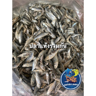 ปลาตากแห้งรวมๆกัน สดใหม่ น้ำหนัก 1 กิโลกรัม