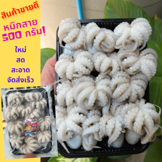 (ลด60.-โค้ดDET50MAR+โค้ดหน้าร้าน) หมึกสาย 500 กรัม ปลาหมึกสาย สดมาก รสชาติหวาน อร่อย ปลอดภัย ไร้สารเคมี(ค่าส่งถูกที่สุด)