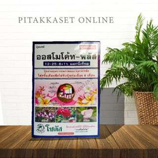 ออสโมโค้ทพลัส (Osmocote-plus) สูตร 12-25-6+1% magnesium ปุ๋ยละลายช้า สูตร 6