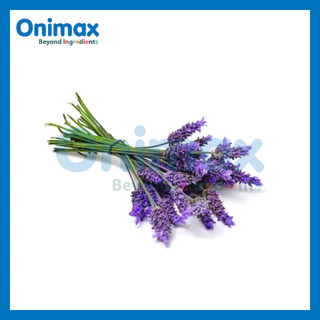 น้ำมันหอมระเหย ลาเวนเดอร์ Lavender Essential Oil KC ขนาด 100g. / 500g.