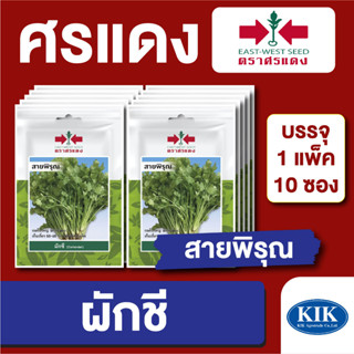 เมล็ดพันธุ์ ผักซอง ผักชีสายพิรุณ ตราศรแดง บรรจุแพ็คล่ะ 10 ซอง ราคา 70 บาท